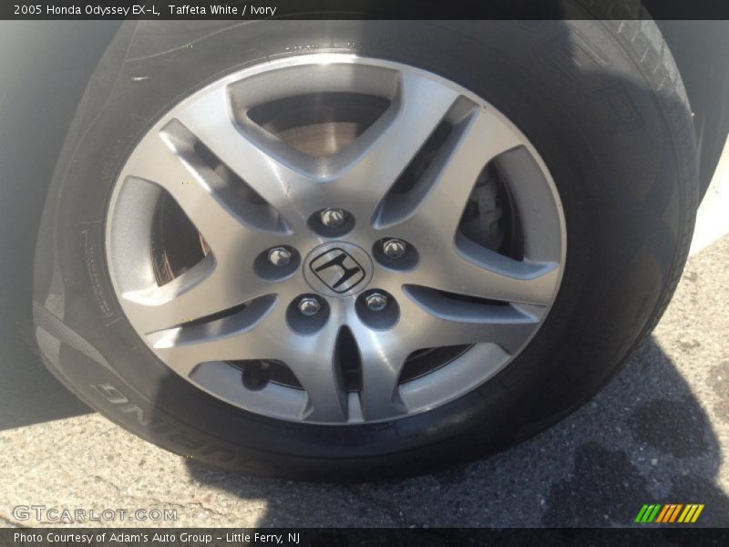 Taffeta White / Ivory 2005 Honda Odyssey EX-L