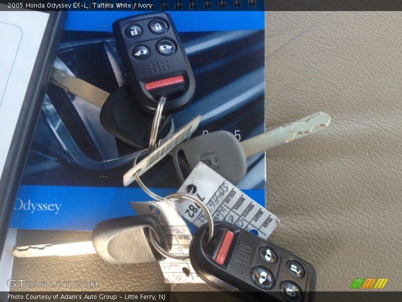 Taffeta White / Ivory 2005 Honda Odyssey EX-L