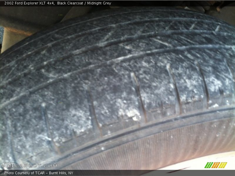 Black Clearcoat / Midnight Grey 2002 Ford Explorer XLT 4x4