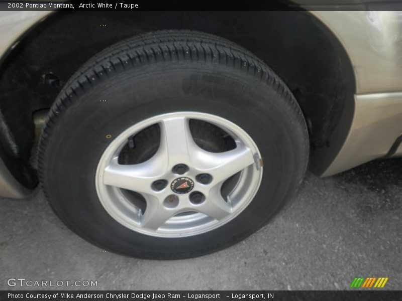 Arctic White / Taupe 2002 Pontiac Montana