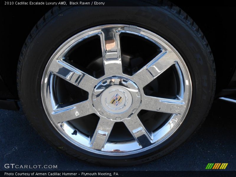 Black Raven / Ebony 2010 Cadillac Escalade Luxury AWD