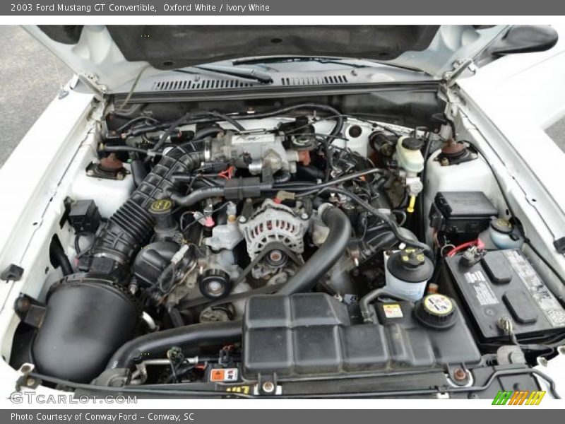  2003 Mustang GT Convertible Engine - 4.6 Liter SOHC 16-Valve V8