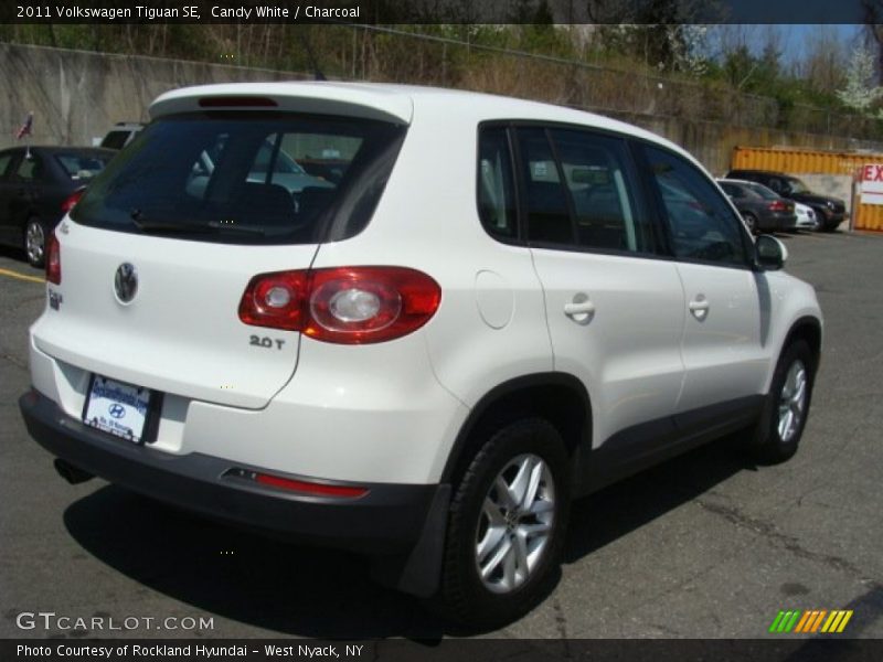 Candy White / Charcoal 2011 Volkswagen Tiguan SE