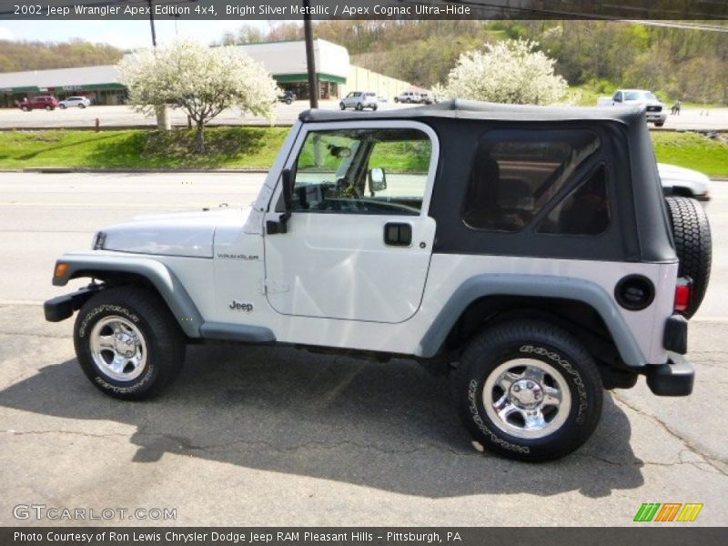 Bright Silver Metallic / Apex Cognac Ultra-Hide 2002 Jeep Wrangler Apex Edition 4x4