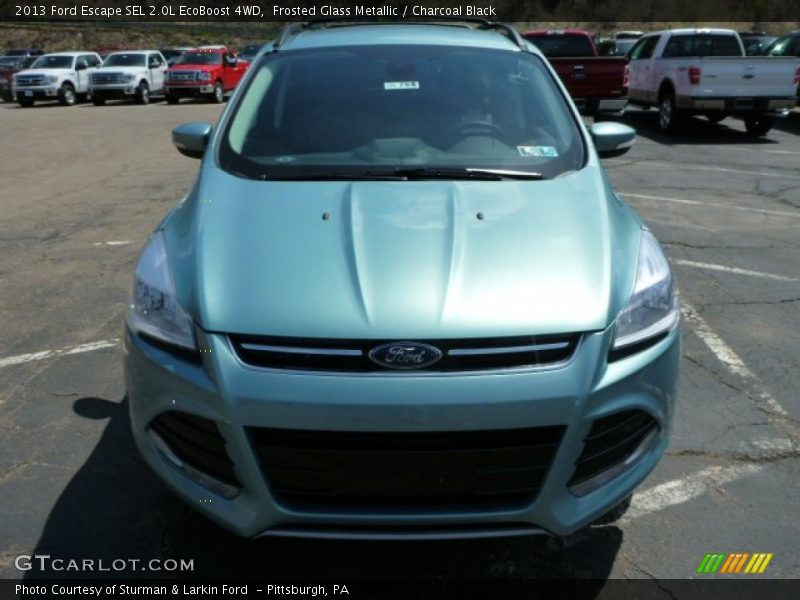 Frosted Glass Metallic / Charcoal Black 2013 Ford Escape SEL 2.0L EcoBoost 4WD