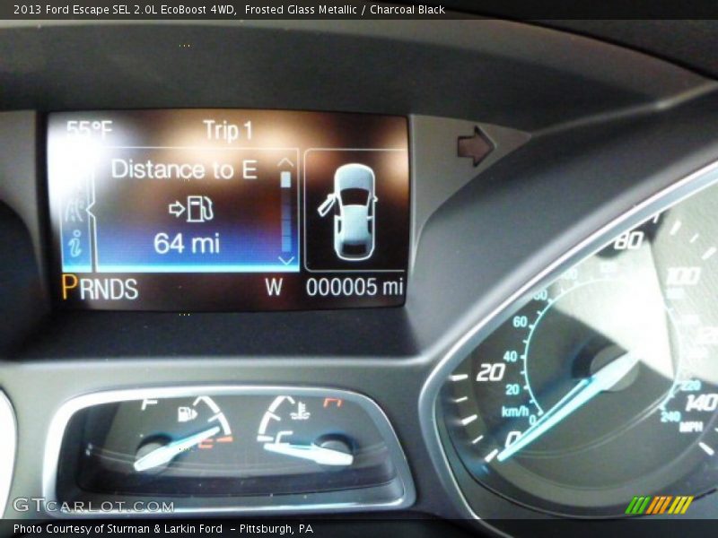 Frosted Glass Metallic / Charcoal Black 2013 Ford Escape SEL 2.0L EcoBoost 4WD