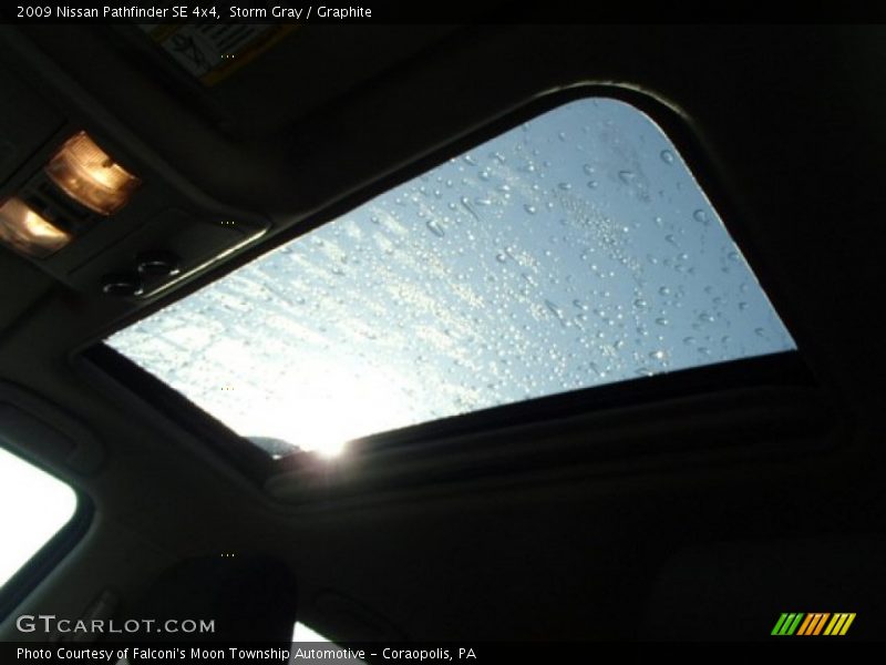 Storm Gray / Graphite 2009 Nissan Pathfinder SE 4x4