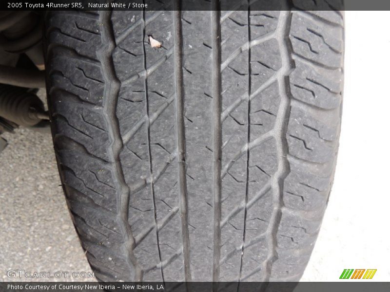 Natural White / Stone 2005 Toyota 4Runner SR5