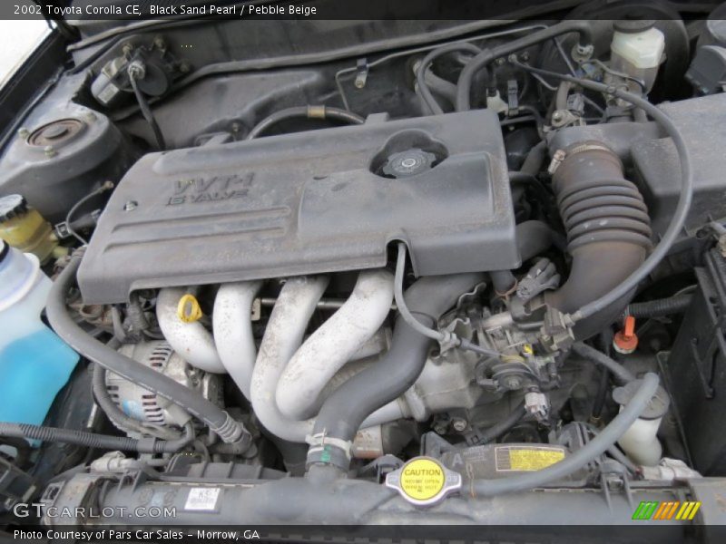 Black Sand Pearl / Pebble Beige 2002 Toyota Corolla CE
