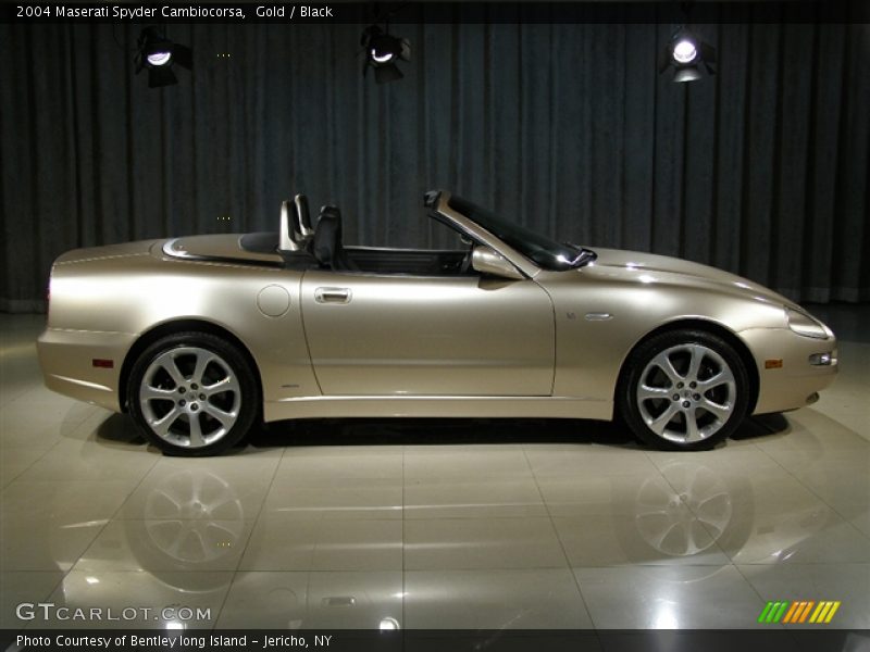 Gold / Black 2004 Maserati Spyder Cambiocorsa