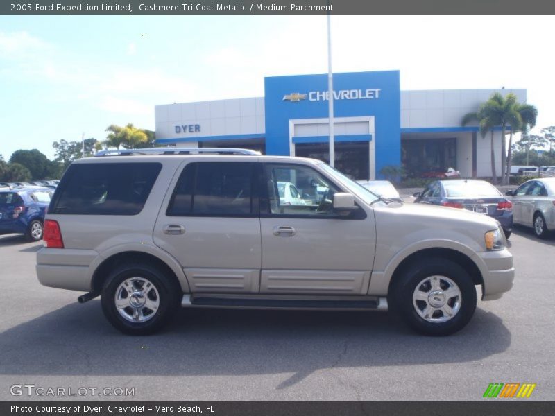 Cashmere Tri Coat Metallic / Medium Parchment 2005 Ford Expedition Limited
