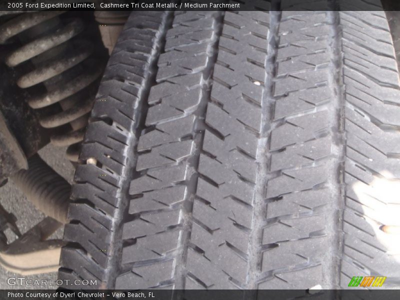 Cashmere Tri Coat Metallic / Medium Parchment 2005 Ford Expedition Limited