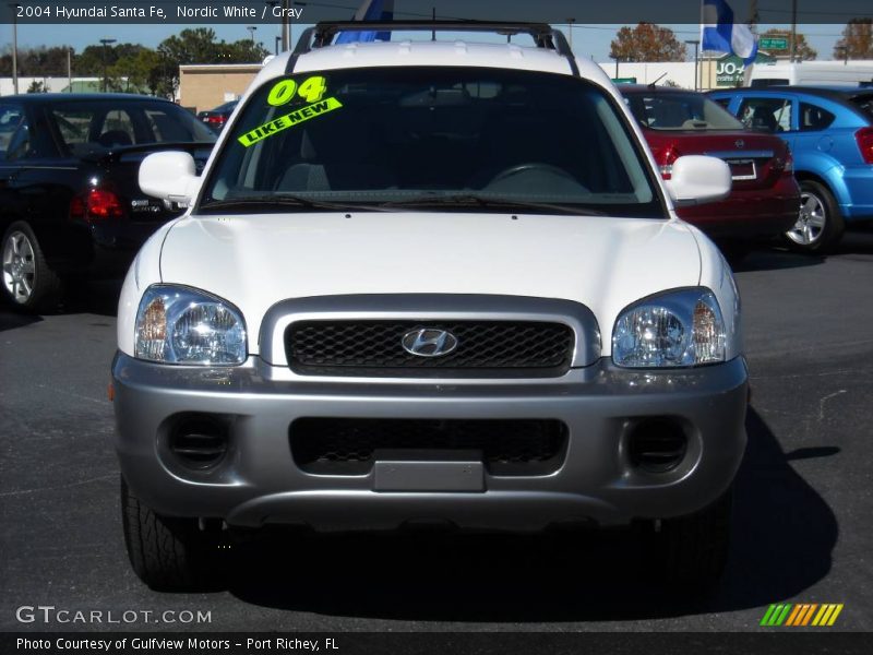 Nordic White / Gray 2004 Hyundai Santa Fe