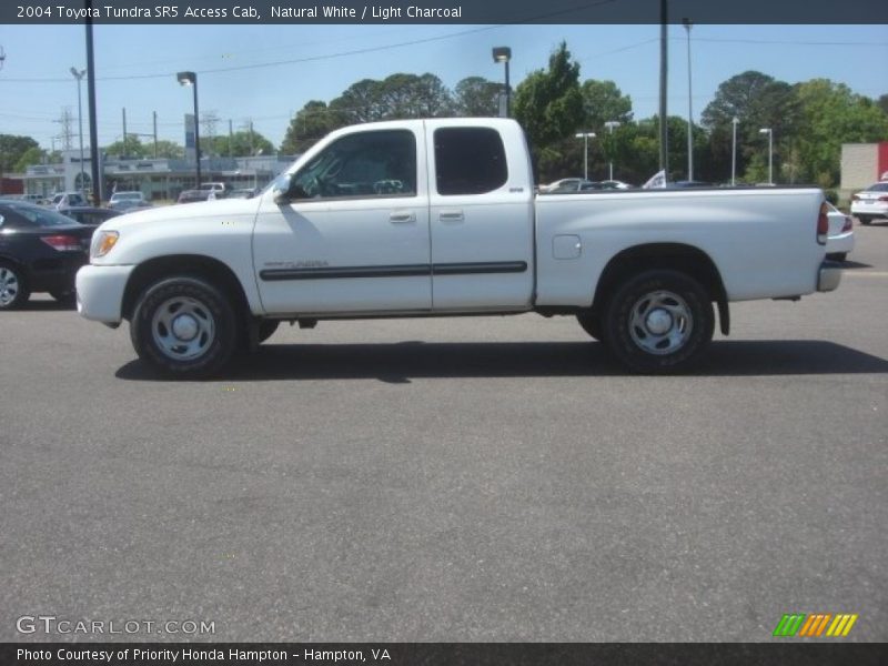 Natural White / Light Charcoal 2004 Toyota Tundra SR5 Access Cab