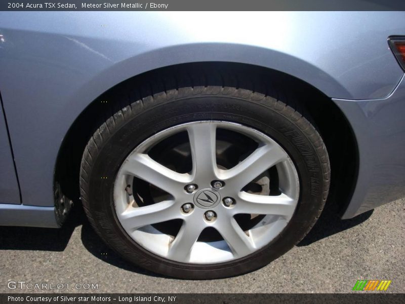 Meteor Silver Metallic / Ebony 2004 Acura TSX Sedan