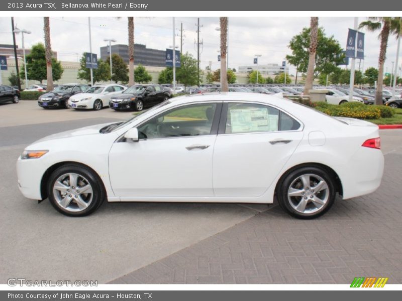 Bellanova White Pearl / Ebony 2013 Acura TSX