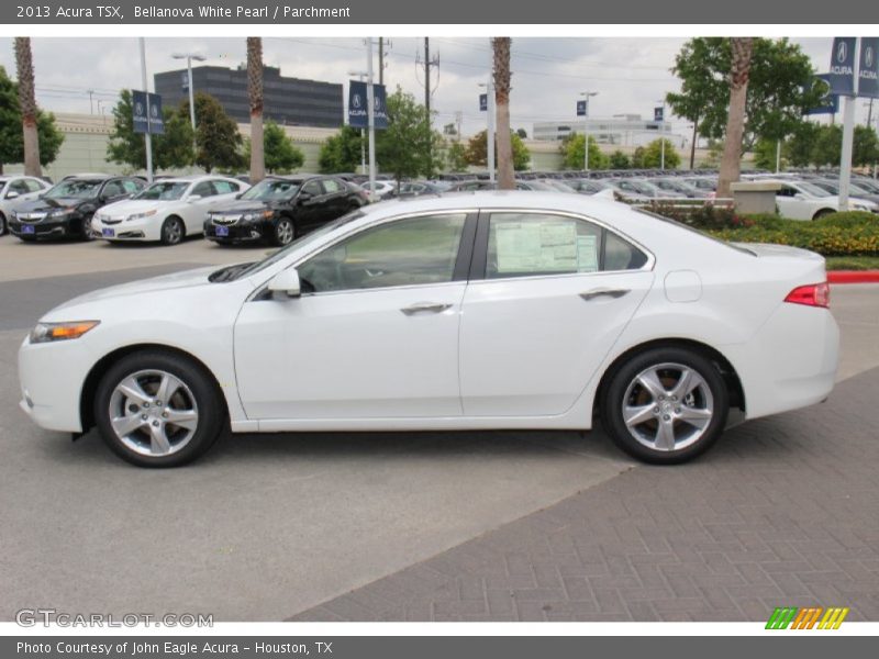 Bellanova White Pearl / Parchment 2013 Acura TSX