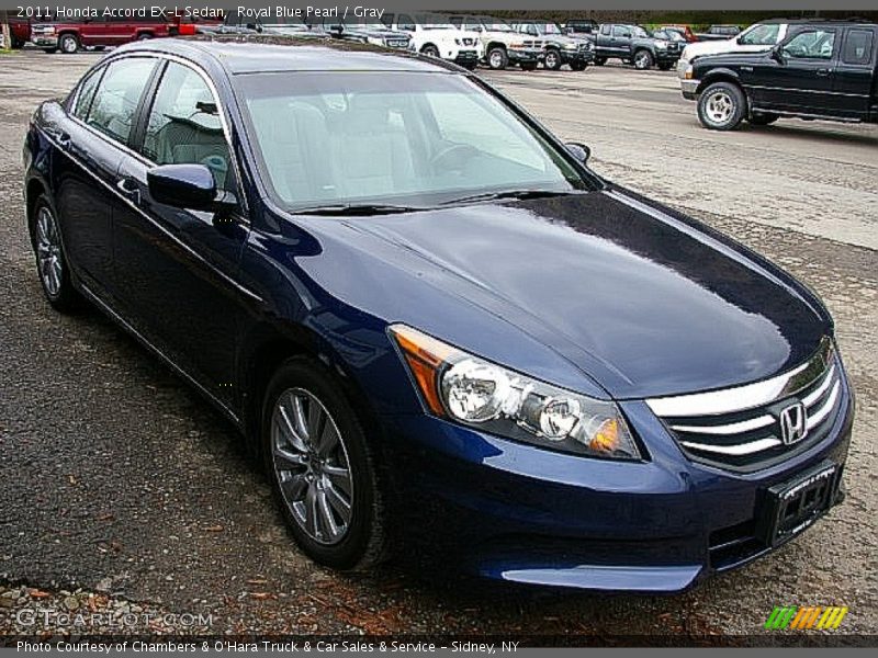 Royal Blue Pearl / Gray 2011 Honda Accord EX-L Sedan