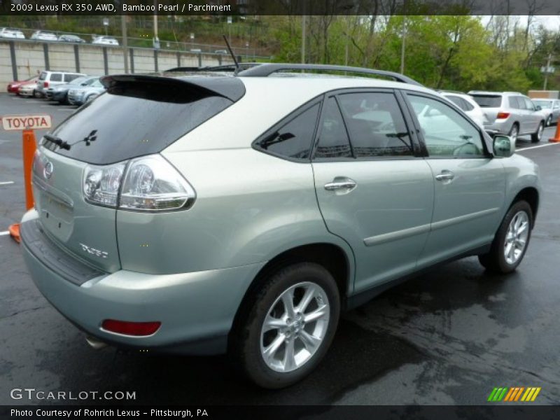  2009 RX 350 AWD Bamboo Pearl