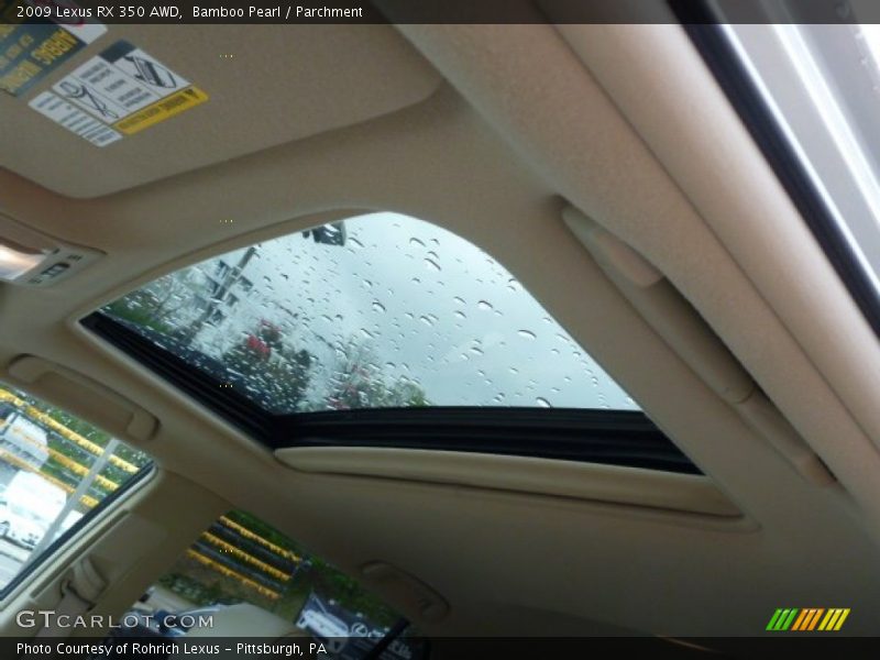 Bamboo Pearl / Parchment 2009 Lexus RX 350 AWD