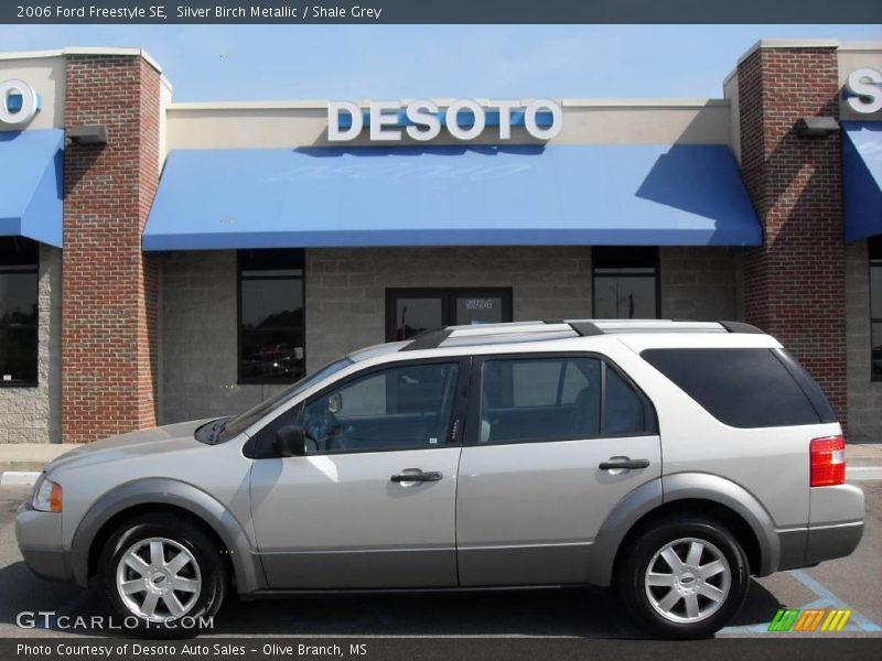 Silver Birch Metallic / Shale Grey 2006 Ford Freestyle SE