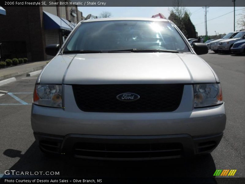 Silver Birch Metallic / Shale Grey 2006 Ford Freestyle SE