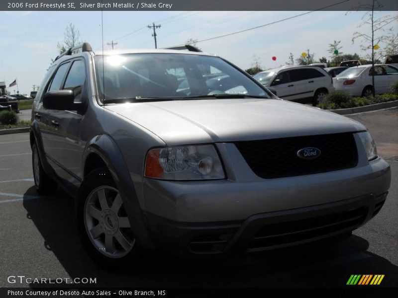 Silver Birch Metallic / Shale Grey 2006 Ford Freestyle SE
