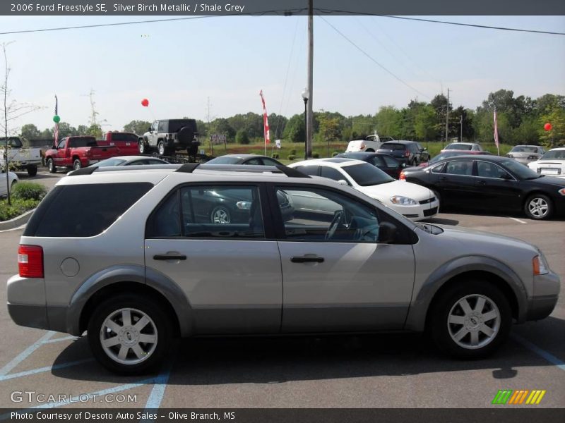 Silver Birch Metallic / Shale Grey 2006 Ford Freestyle SE