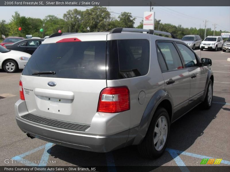 Silver Birch Metallic / Shale Grey 2006 Ford Freestyle SE