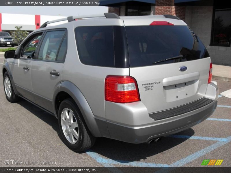Silver Birch Metallic / Shale Grey 2006 Ford Freestyle SE