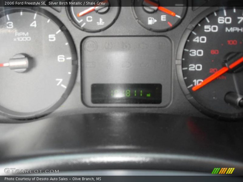 Silver Birch Metallic / Shale Grey 2006 Ford Freestyle SE