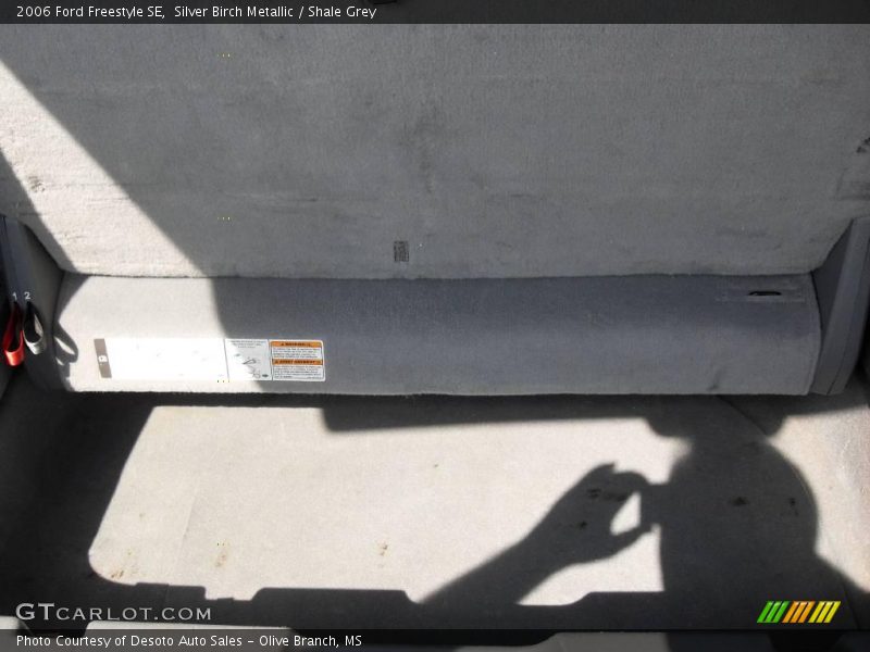 Silver Birch Metallic / Shale Grey 2006 Ford Freestyle SE