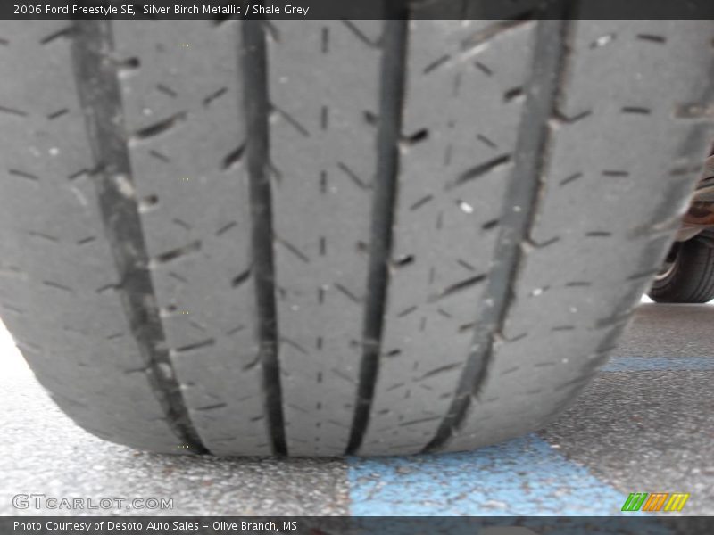 Silver Birch Metallic / Shale Grey 2006 Ford Freestyle SE
