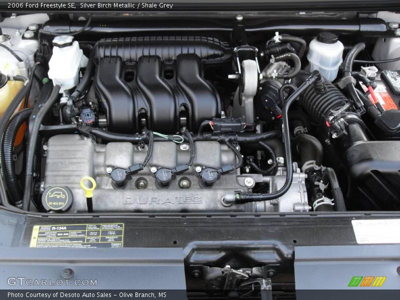 Silver Birch Metallic / Shale Grey 2006 Ford Freestyle SE