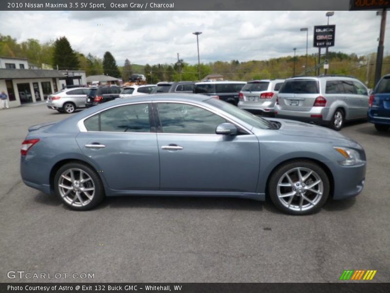 Ocean Gray / Charcoal 2010 Nissan Maxima 3.5 SV Sport