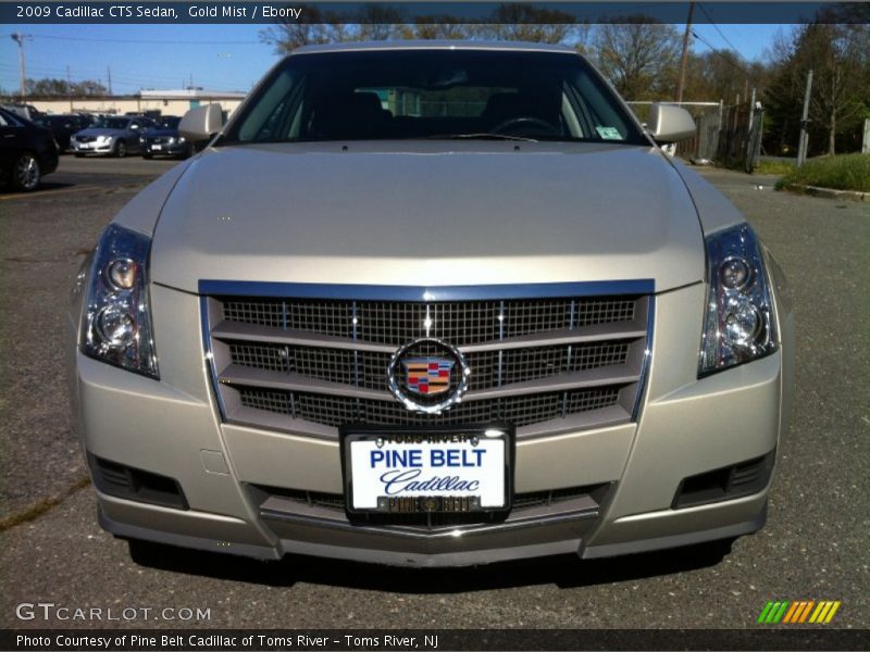 Gold Mist / Ebony 2009 Cadillac CTS Sedan