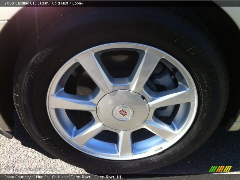 Gold Mist / Ebony 2009 Cadillac CTS Sedan