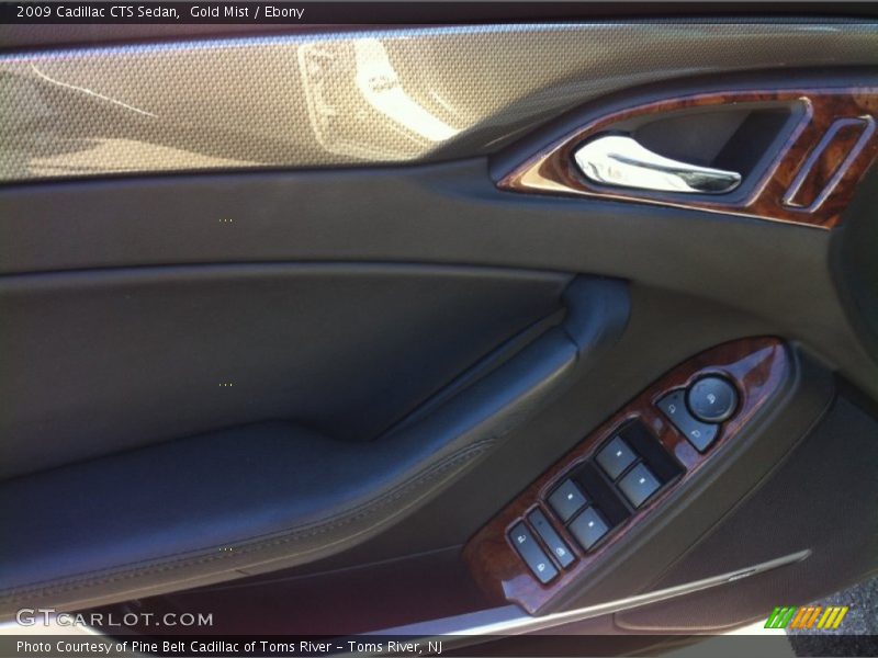 Gold Mist / Ebony 2009 Cadillac CTS Sedan