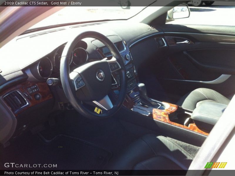 Gold Mist / Ebony 2009 Cadillac CTS Sedan