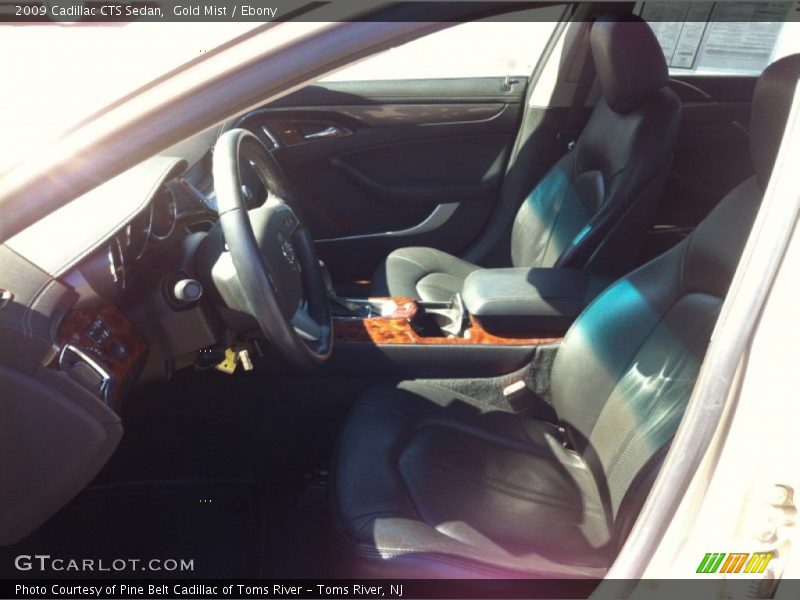 Gold Mist / Ebony 2009 Cadillac CTS Sedan