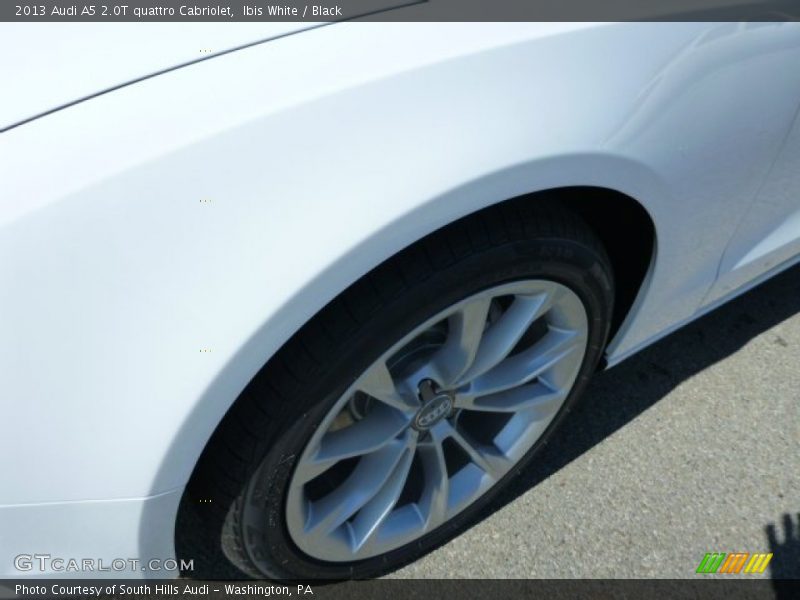 Ibis White / Black 2013 Audi A5 2.0T quattro Cabriolet