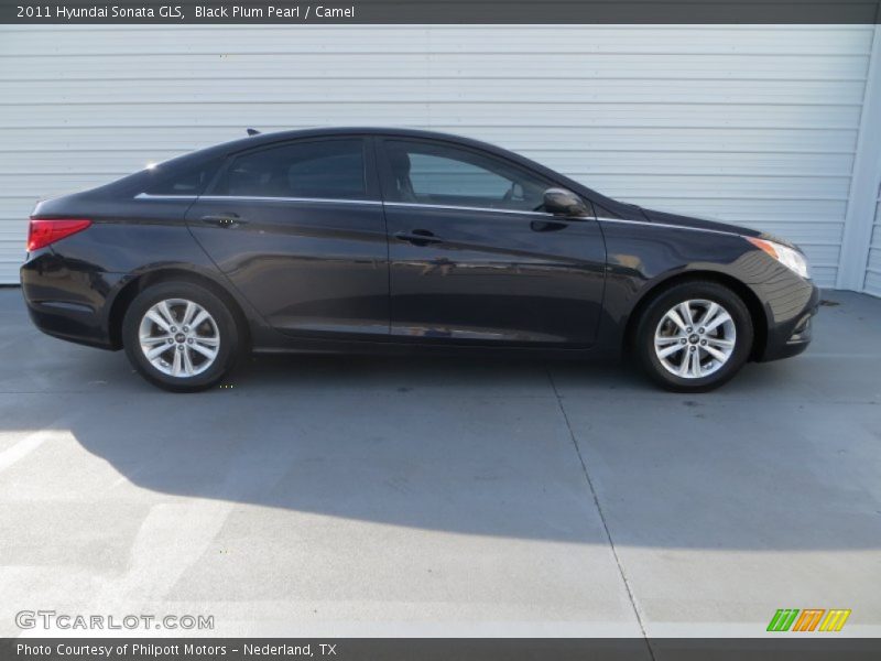 Black Plum Pearl / Camel 2011 Hyundai Sonata GLS