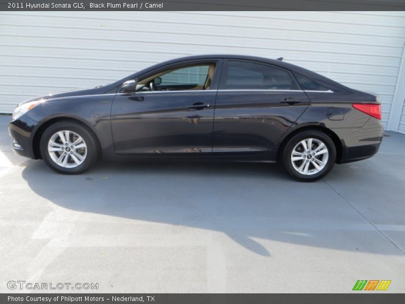Black Plum Pearl / Camel 2011 Hyundai Sonata GLS