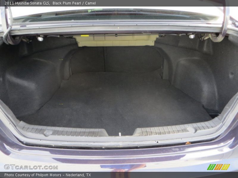 Black Plum Pearl / Camel 2011 Hyundai Sonata GLS