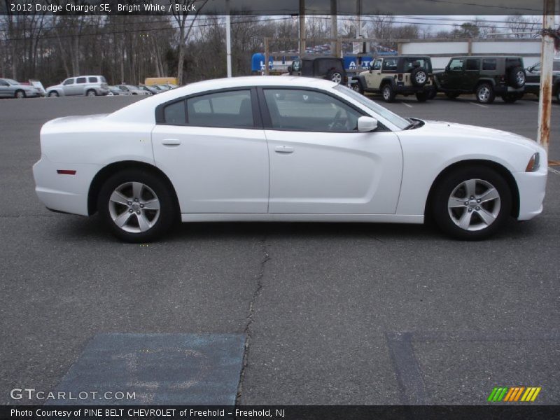 Bright White / Black 2012 Dodge Charger SE