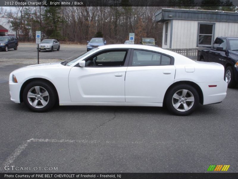 Bright White / Black 2012 Dodge Charger SE