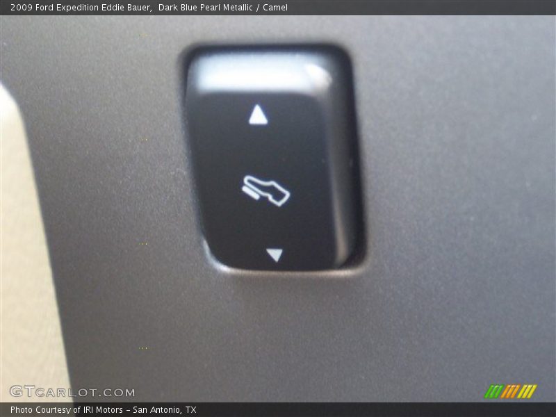 Dark Blue Pearl Metallic / Camel 2009 Ford Expedition Eddie Bauer