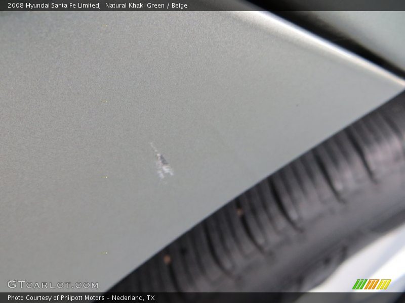 Natural Khaki Green / Beige 2008 Hyundai Santa Fe Limited