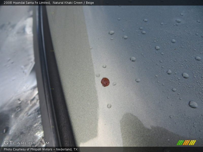 Natural Khaki Green / Beige 2008 Hyundai Santa Fe Limited
