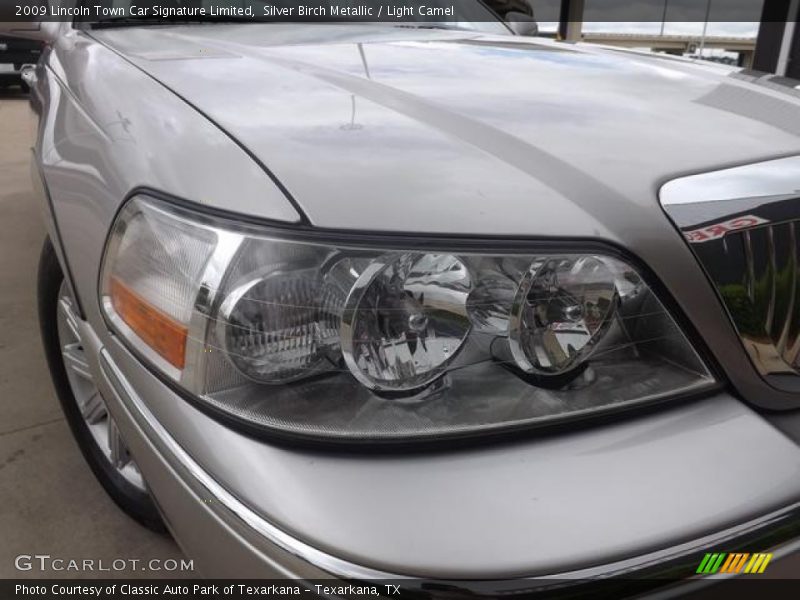 Silver Birch Metallic / Light Camel 2009 Lincoln Town Car Signature Limited